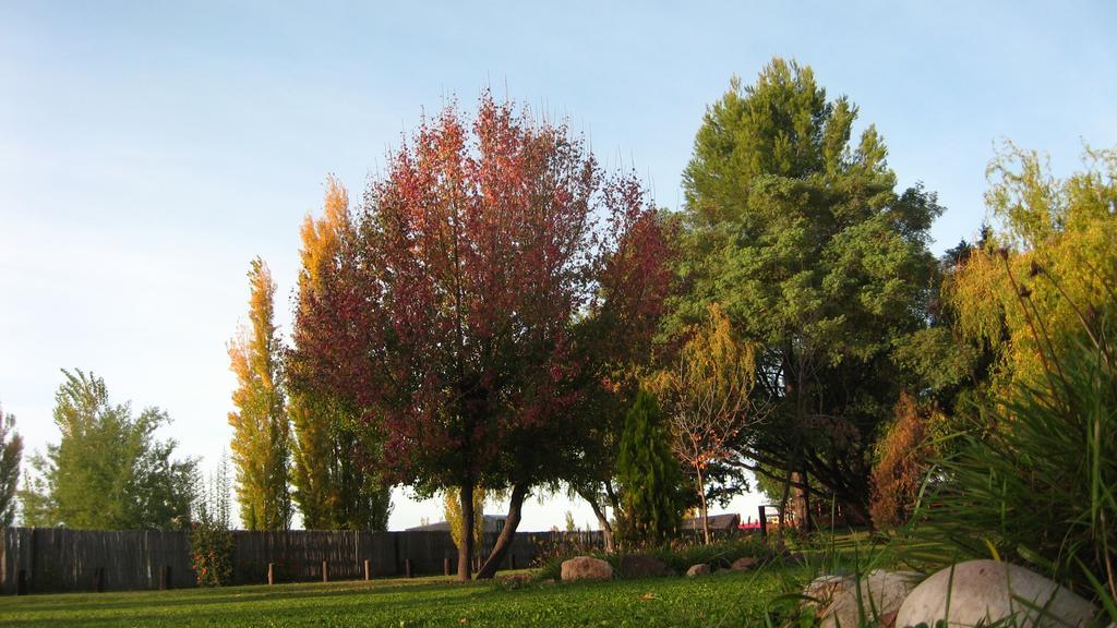 Posada Del Viajero San Rafael Екстериор снимка