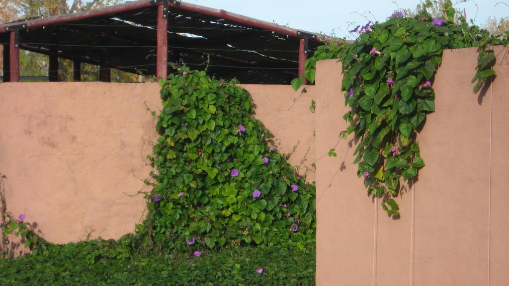 Posada Del Viajero San Rafael Екстериор снимка
